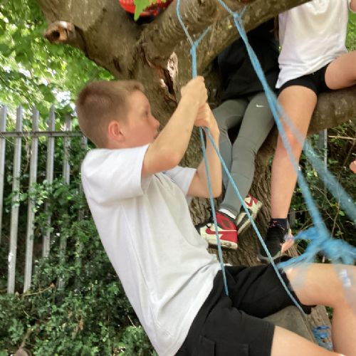 Year Five Forest School Photos
